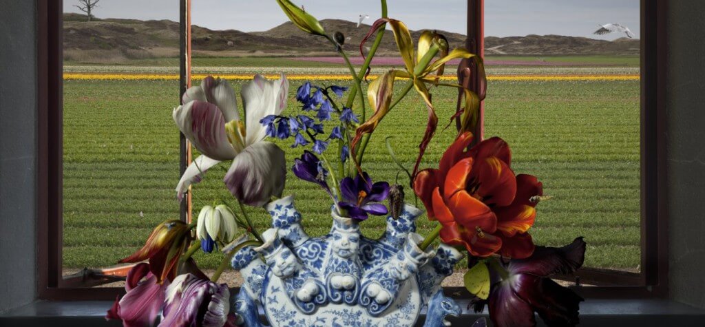 Museum De Zwarte Tulp - e-mailnieuwsbrieven